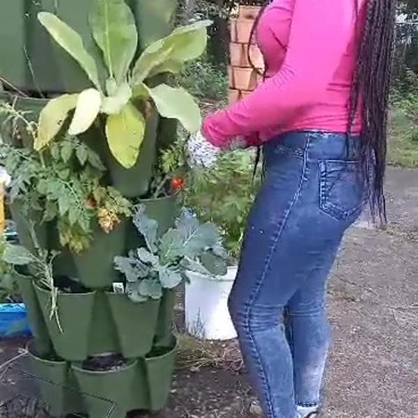 GreenStalk Vegetable Garden
