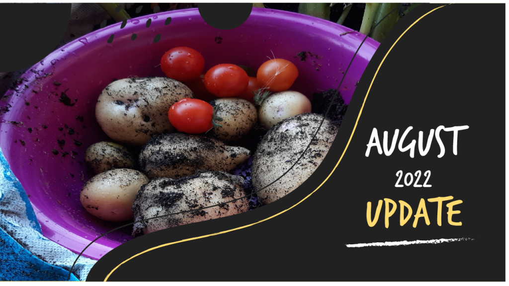 Photos from the garden